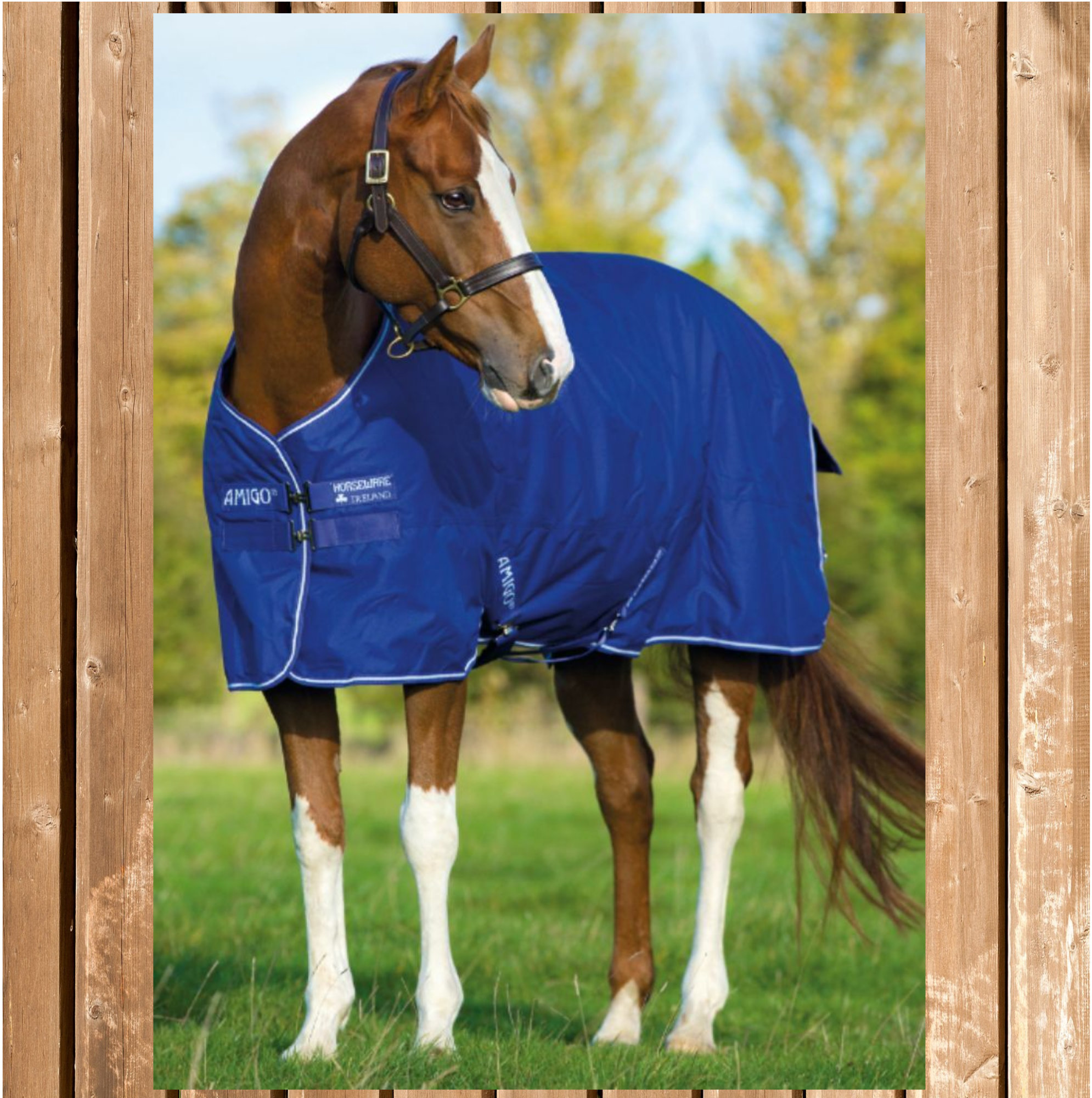 Horseware Amigo Hero lite 0g, atlantic blue